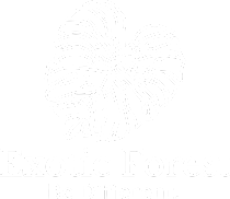 Exotic Forest